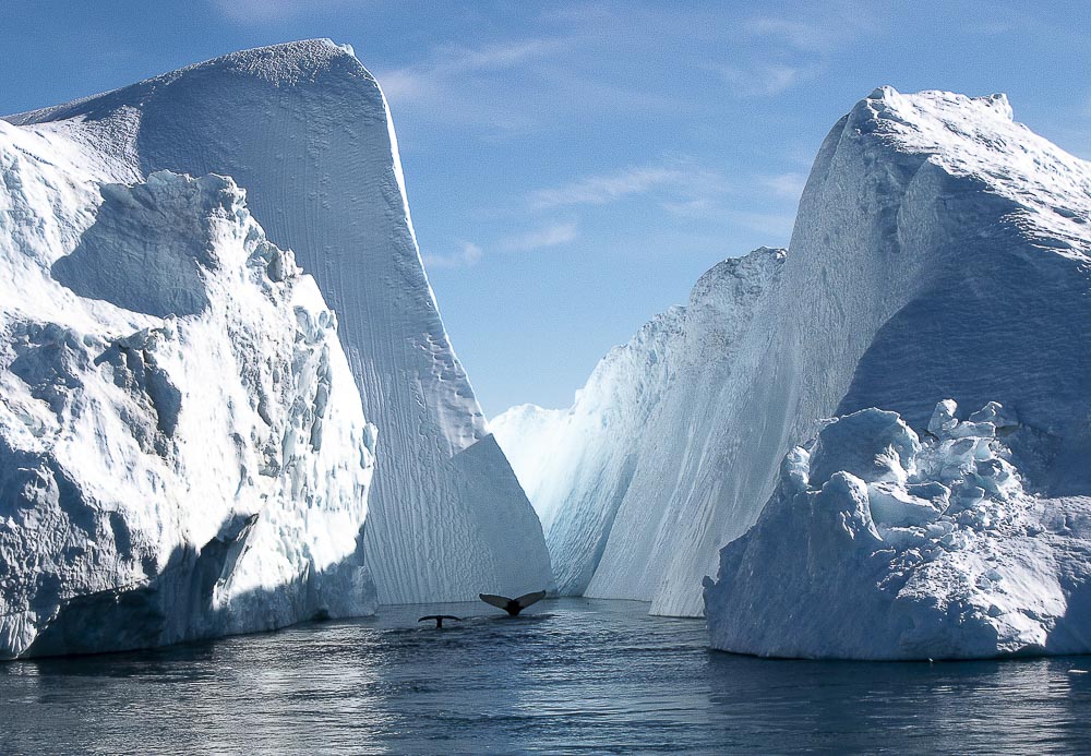 Foto fra en af Karin Møller-Olsens artikler